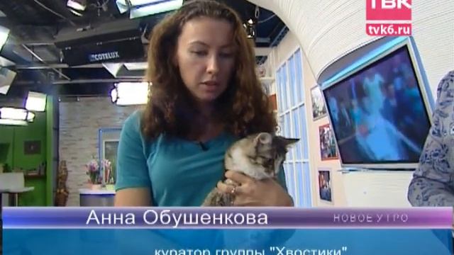Котята из "Хвостиков" в гостях у Нового утра на ТВК. смотреть онлайн