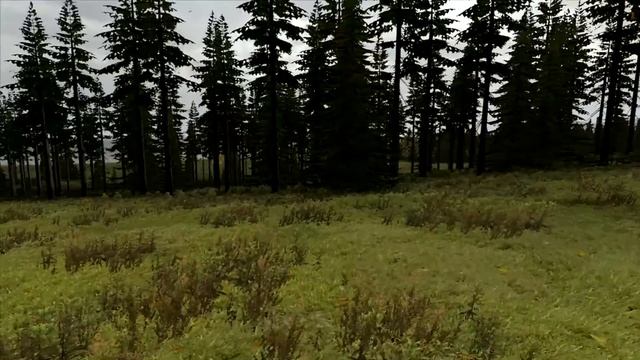 Arma 2 Серьезные Игры на Тушино: Ленивый день смотреть онлайн