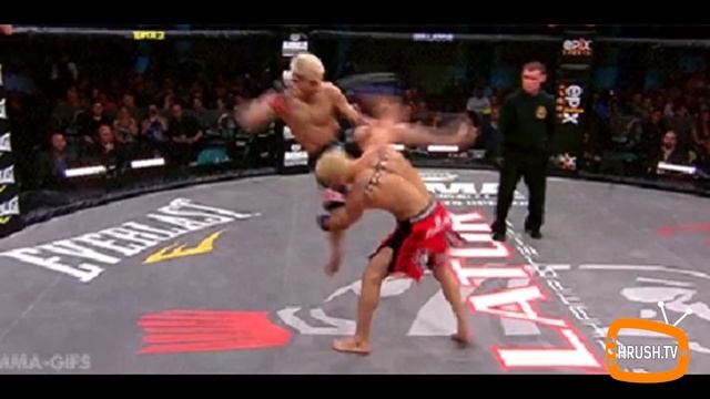 Подборка от HRUSH.TV Coub #26 смотреть онлайн