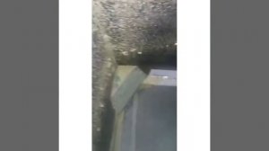 Охладитель гранулы своими руками. Комбикорм своими руками.