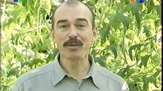 Наш сад [ТВЦ — NBN] (11 апреля 2004) смотреть онлайн