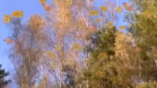 Долгополюк Татьяна Ивановна.. Стихотворение "Третий лишний" смотреть онлайн