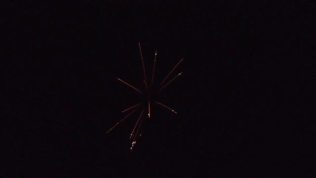 C 224 2” x 25 Red strobe willow w silver strobe смотреть онлайн