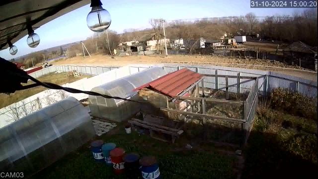 20241031_1 смотреть онлайн
