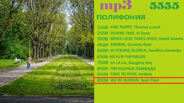 Реклама на RUSONG TV 2013 (23/30)