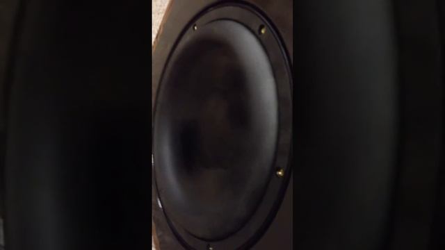 Dayton Reference 10 HF subwoofer w/ Bash 300 смотреть онлайн