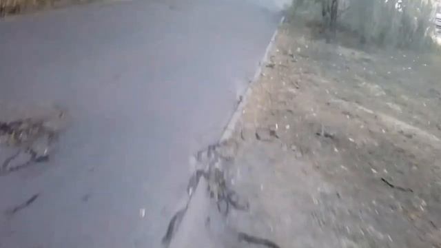 паркур смотреть онлайн