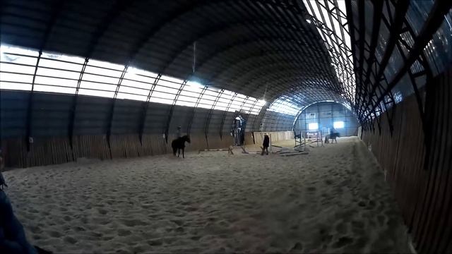 КСК Нимб| Настя разминает| Активатор| Я еду маршрут| 31.01.2018 смотреть онлайн