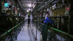 Рузаевские новости. 1 ноября 2024