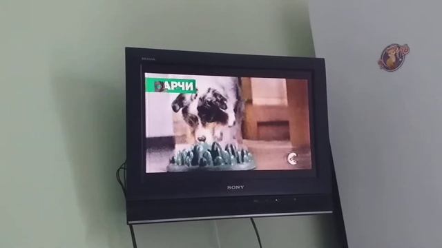Аналоговое ТВ Домашний 13.04.2019 Часть 2 смотреть онлайн
