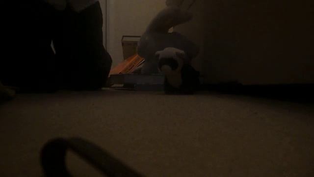Vlog 1: A NEW MASCOT????????!!!!!!!!!!!!!!!!!! смотреть онлайн