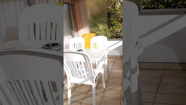 мой номер на пять дней! Есть ли терасска? А телевизор? Посмотрите сегодня! (Famili Cats) смотреть онлайн