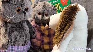 школа басиков. Осенний концерт