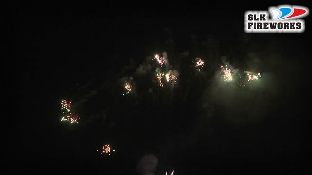 CP305 Silver spin tail w colorfull falling leaves смотреть онлайн