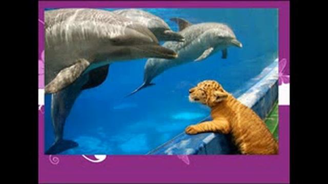 О дружбе смотреть онлайн