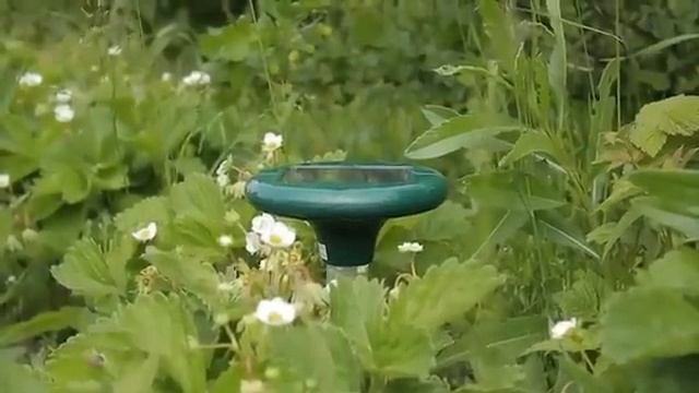 Newtech Solar Pro. Ультразвуковой отпугиватель грызунов и кротов для Вашего сада!