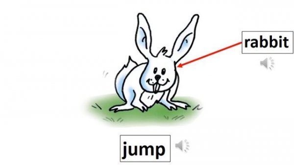 Animals and actions page 78