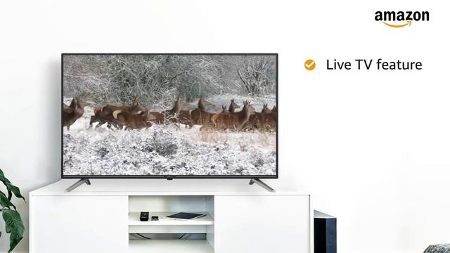 AmazonBasics 81 cm (32 inches) HD Ready Smart LED Fire TV AB32E10SS (Black) смотреть онлайн