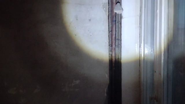 Бытовая наука