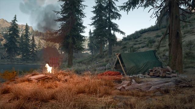 Days Gone | Video Game Ambience | Campsite (Belknap) смотреть онлайн