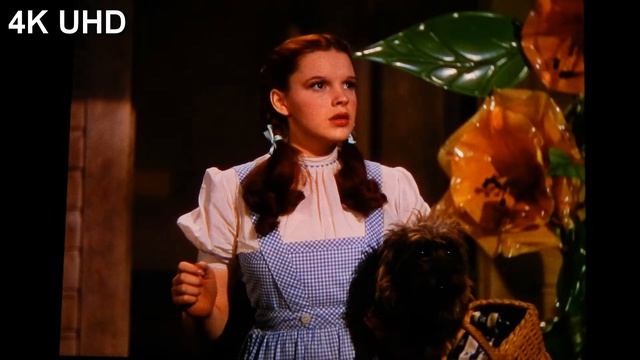 WIZARD OF OZ - 4K REVIEW смотреть онлайн
