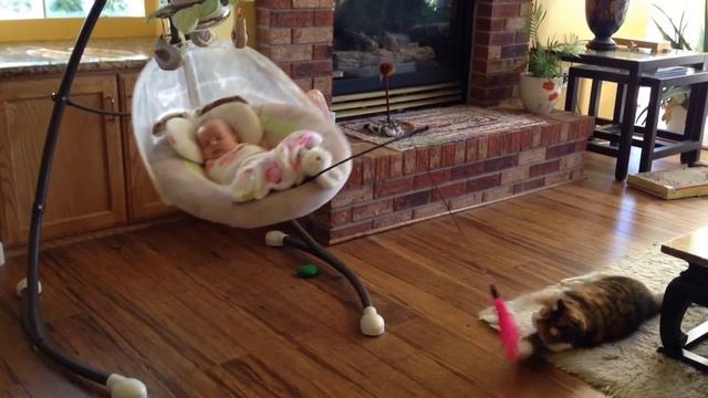 Parenting Win смотреть онлайн