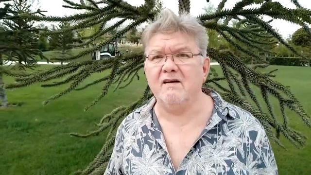 Южная зарисовка смотреть онлайн