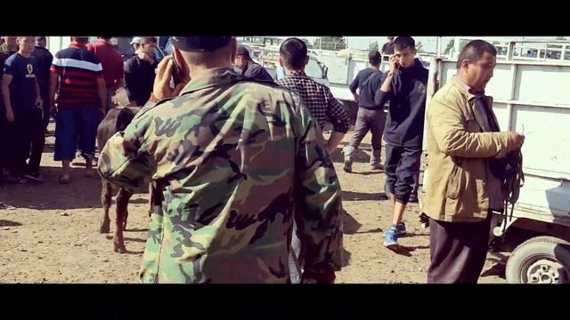 Базар коргон мал базары 14июнь смотреть онлайн