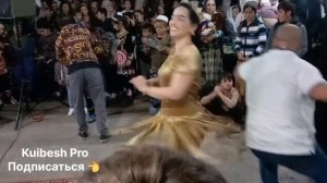 Ай замин бги ракси 2025 А.Чоми Зафар Аюби