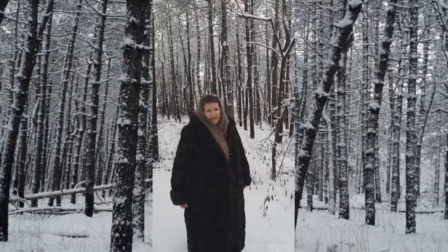 Долгополюк Татьяна Ивановна. Стихотворение в сосновом бору. смотреть онлайн