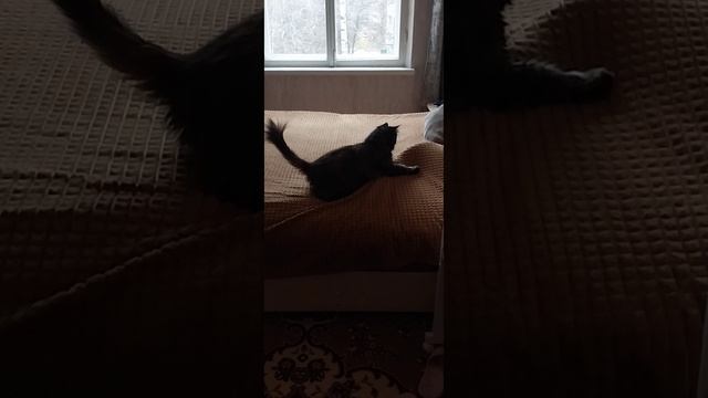 Интересная ситуация