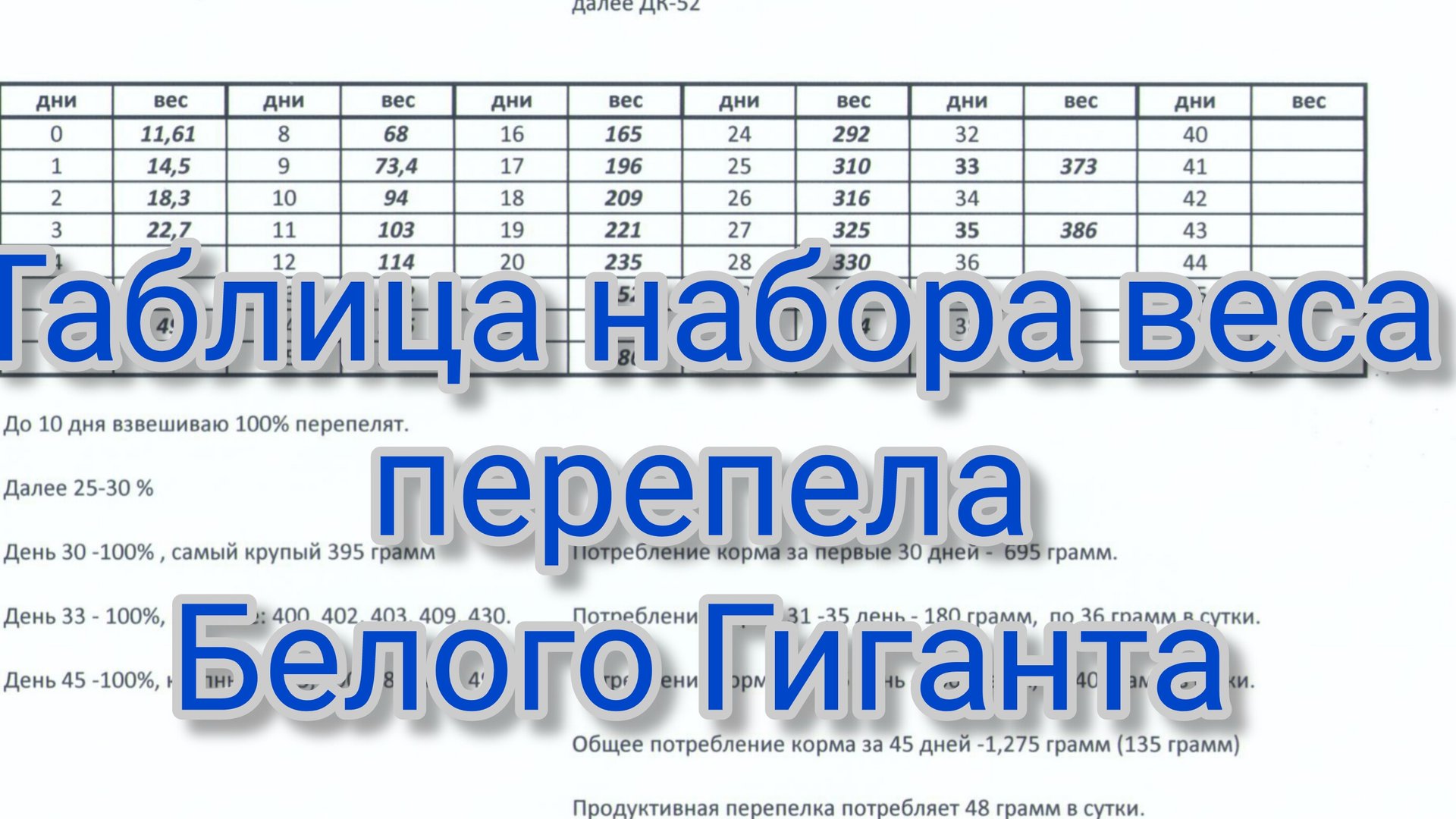 Вес перепелов белый ГИГАНТ по дням. смотреть онлайн