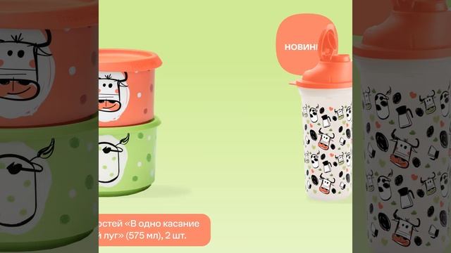 Набор ёмкостей «В одно касание «Летний луг» (575 мл) , 2 шт. смотреть онлайн