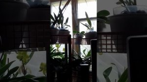 Ваз 2107 дёргается при движении пичина видео 2