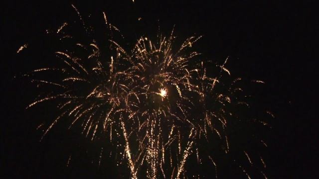 CP 305 1.2” x 100 Ti-chrystal to golden willow (MA) смотреть онлайн