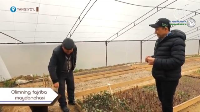 3 йиллик дарахт кўчириб ўтказиш сирлари ва бошқа қизиқ маълумотлар | Landshaft.uz