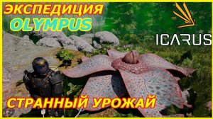 ICARUS #5. Странный урожай. GAME ENERGY. #game #icarus #игры