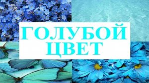 Изучаем цвета _ ГОЛУБОЙ цвет _ Обучающий и развивающий мультик для детей _ Слушать онлайн