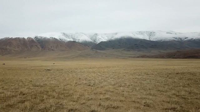 В Монголию на машине через Горный Алтай. #монголия#автопутешествие смотреть онлайн