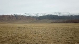 В Монголию на машине через Горный Алтай. #монголия#автопутешествие