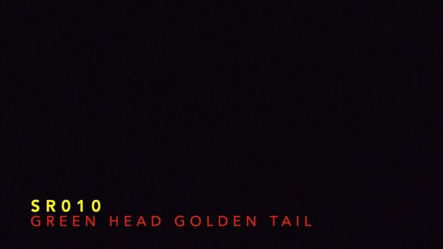 SR 010 1.2” x 13 Green head golden tail (MA) смотреть онлайн