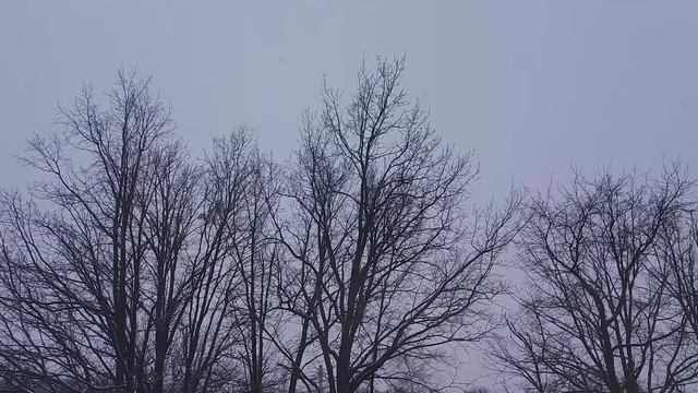 Снег идет смотреть онлайн