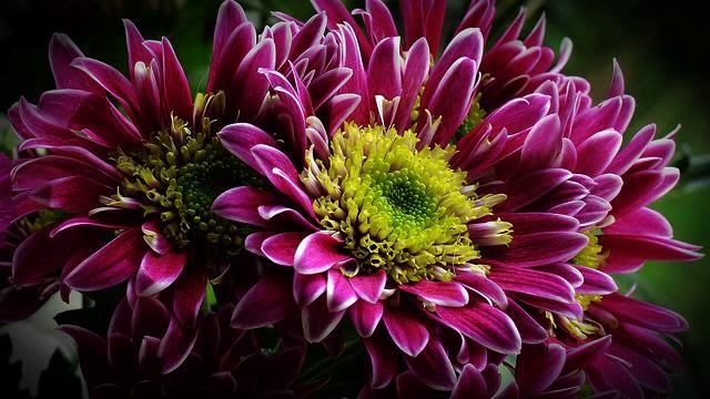 Слушать новую песню с тв 2015 года смотреть онлайн