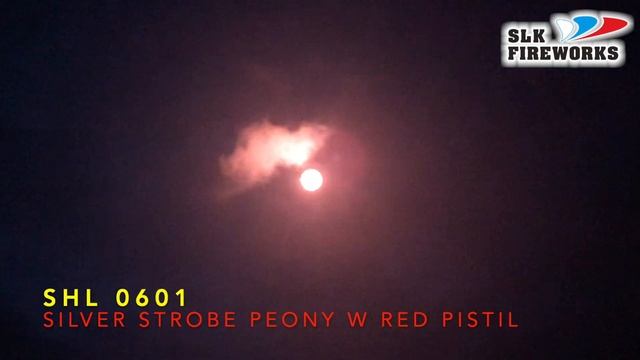 6" SHL 0601 Silver Strobe peony with Red pistil L смотреть онлайн