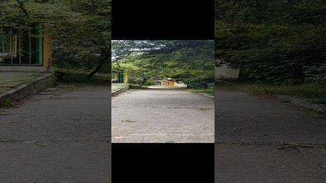 дорога к морю смотреть онлайн