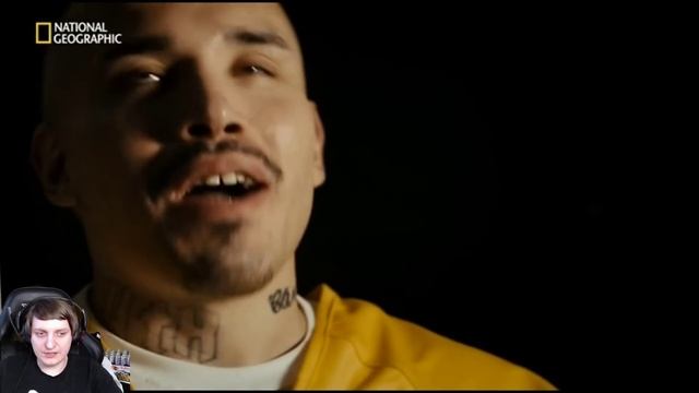 Wycc смотрит побеги №4