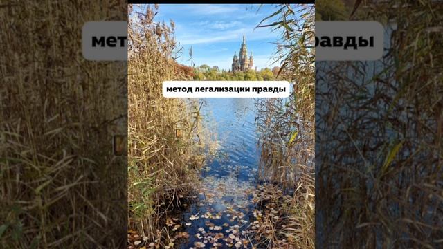 Новые программы смотреть онлайн