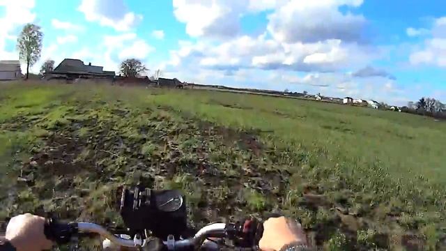 Садовый продубас на Сухарике