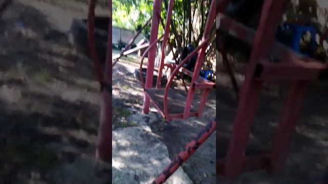 Енот и белка смотреть онлайн