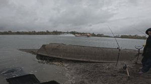 Фидерная Рыбалка на Реке ДОН